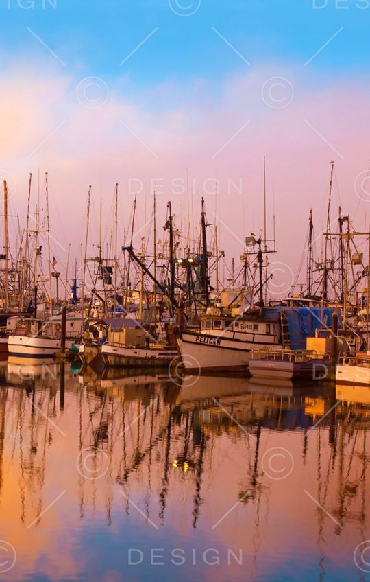 船只印花华亿平台图片