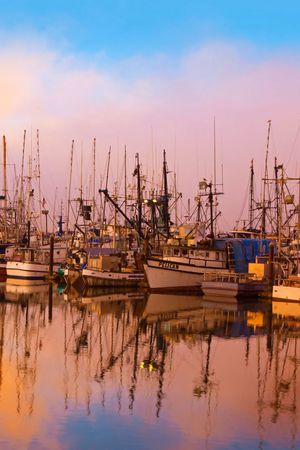 船只印花华亿平台图片