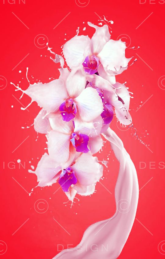 花朵印花华亿平台图片