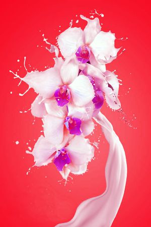 花朵印花华亿平台图片