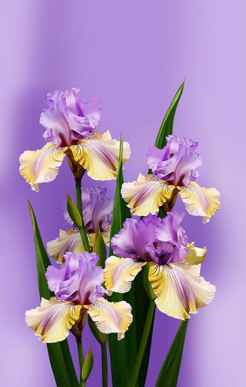 花朵印花华亿平台图片