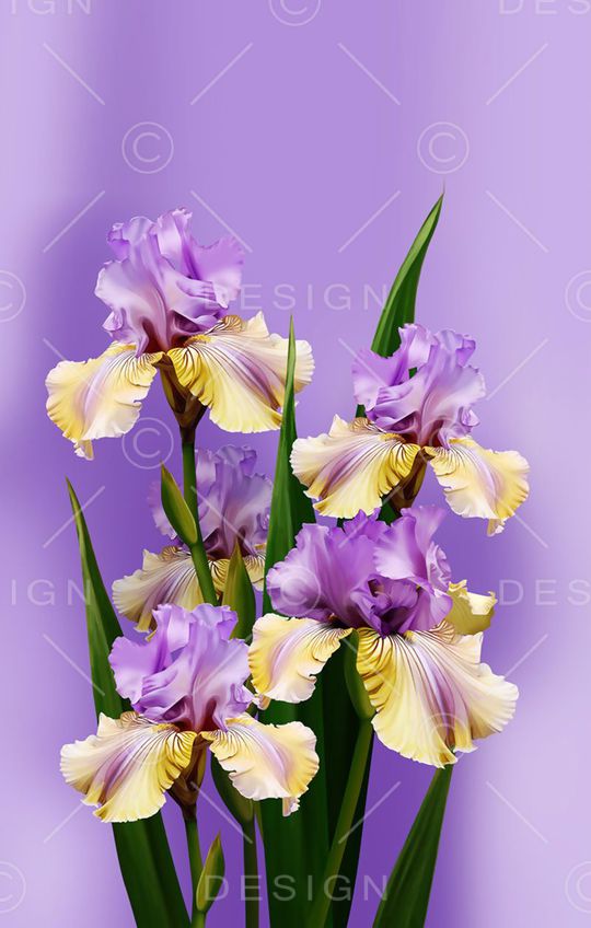 花朵印花华亿平台图片