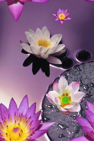 花朵印花华亿平台图片