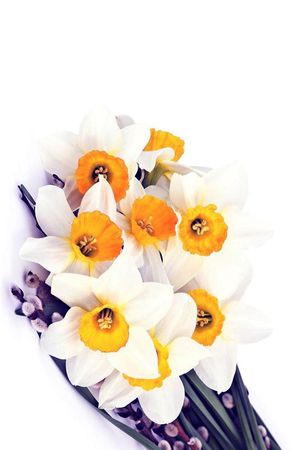 花朵印花华亿平台图片