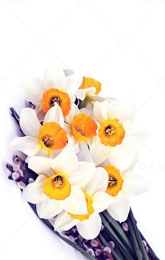 花朵印花华亿平台图片