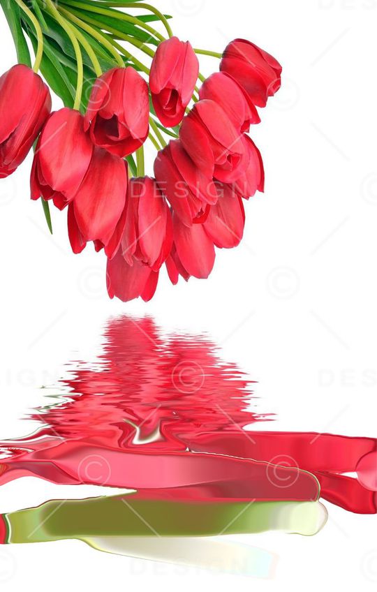 花朵印花华亿平台图片