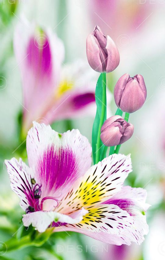 花朵印花华亿平台图片