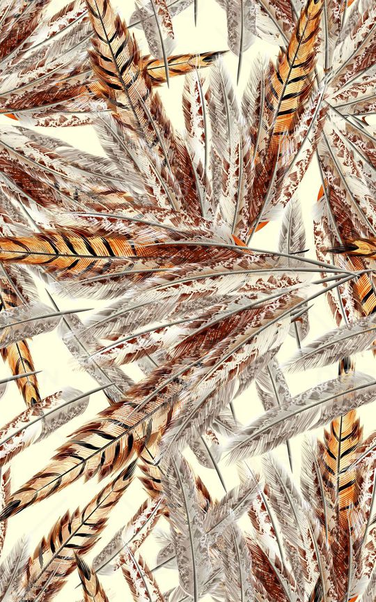 羽毛印花华亿平台图片