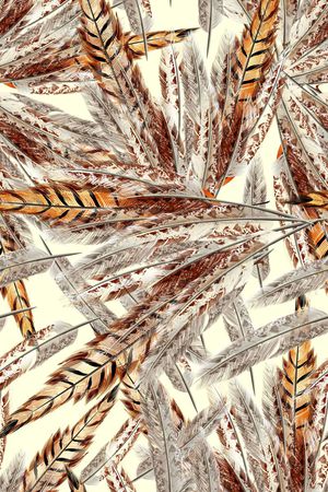 羽毛印花华亿平台图片