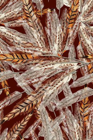 羽毛印花华亿平台图片