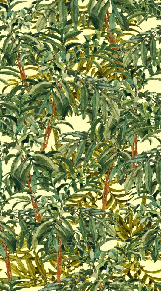 流行色印花华亿平台图片