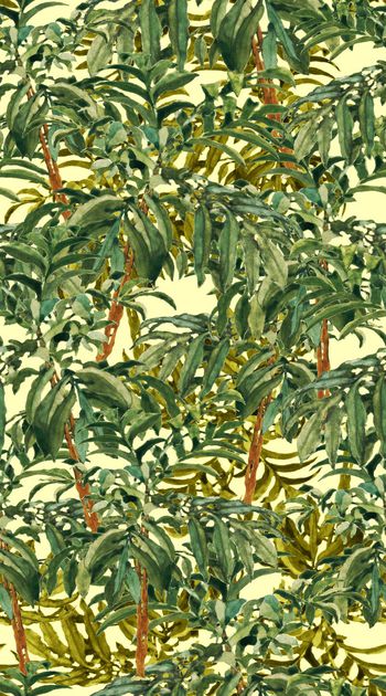 流行色印花华亿平台图片