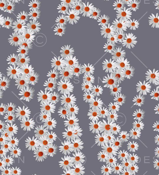 雏菊印花华亿平台图片