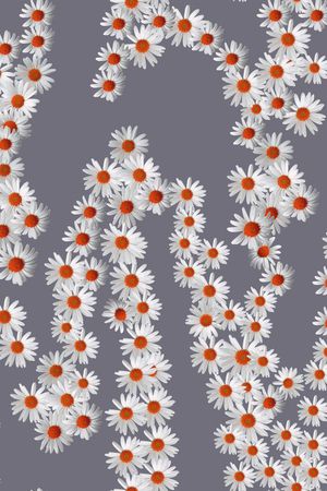 雏菊印花华亿平台图片