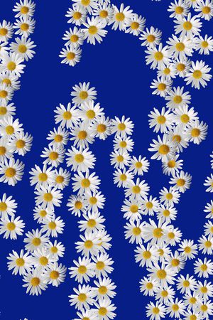 雏菊印花华亿平台图片