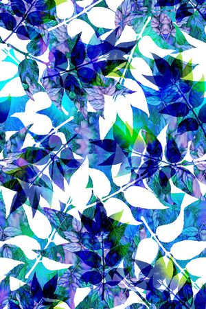 热带印花华亿平台图片