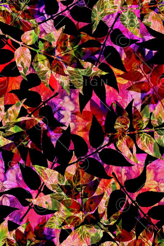 热带印花华亿平台图片