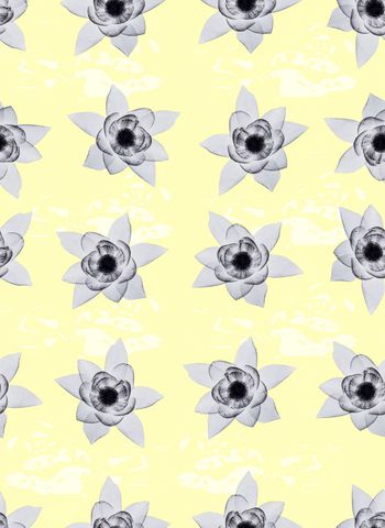 626633-魔方花卉淡雅女装华亿平台3