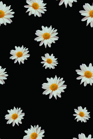 黑底印花华亿平台图片