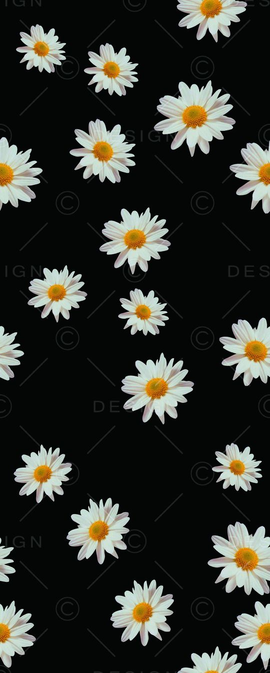 黑底印花华亿平台图片