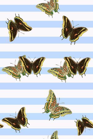 条纹印花华亿平台图片