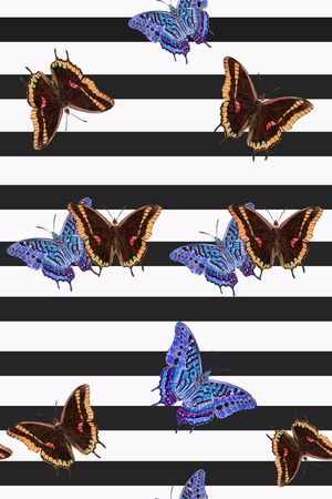 条纹印花华亿平台图片