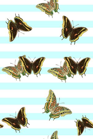 条纹印花华亿平台图片