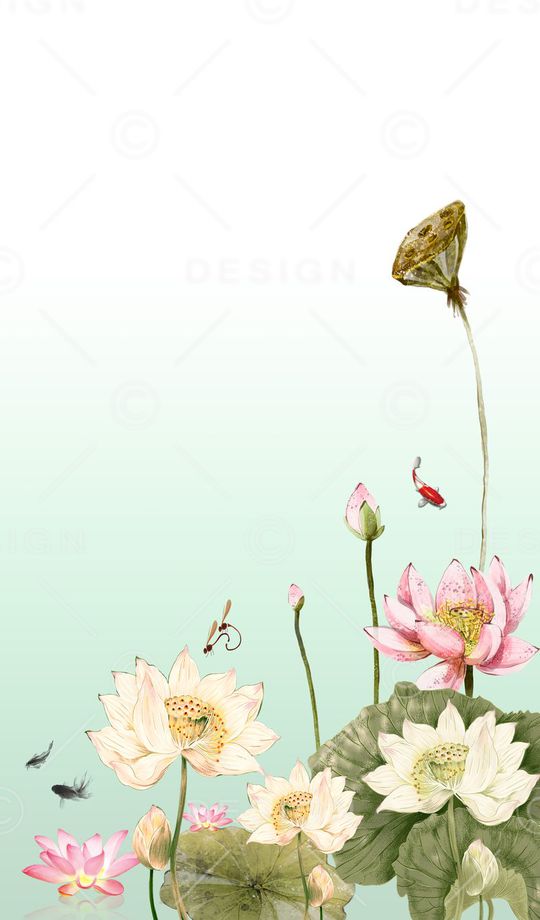 荷花印花华亿平台图片