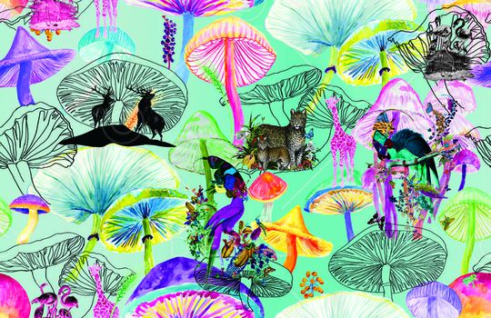 天堂鸟花印花华亿平台图片