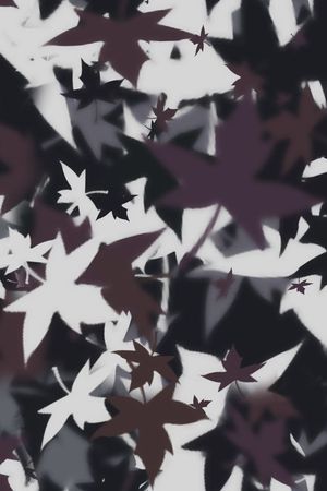 衬衫羊毛衫印花华亿平台图片