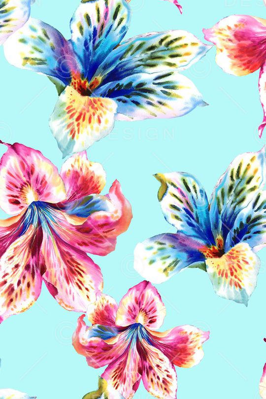 平底印花华亿平台图片