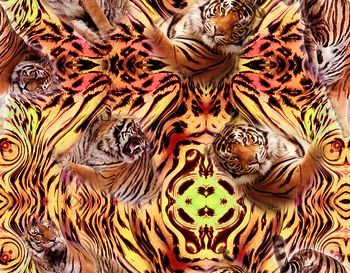 626976-XH20160506-01-b1