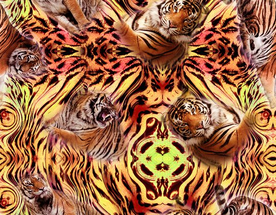 豹子印花华亿平台图片