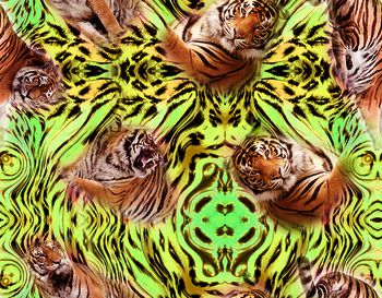 626977-XH20160506-01-b2