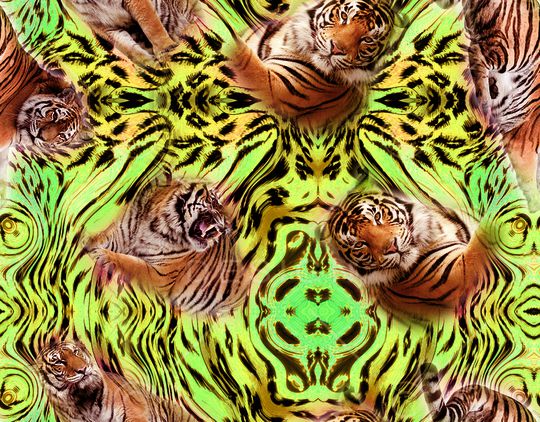 豹子印花华亿平台图片