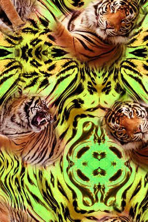 豹子印花华亿平台图片