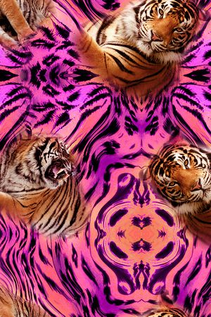 豹子印花华亿平台图片