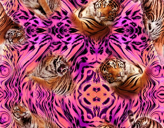 豹子印花华亿平台图片