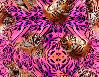 626978-XH20160506-01-b3