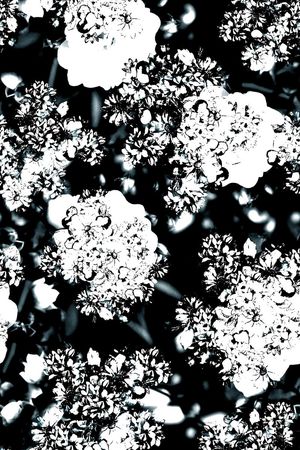 时尚抽象男装外套夹克棉服卫衣衬衫数码印花印花华亿平台图片