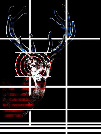 3D梅花鹿印花华亿平台图片