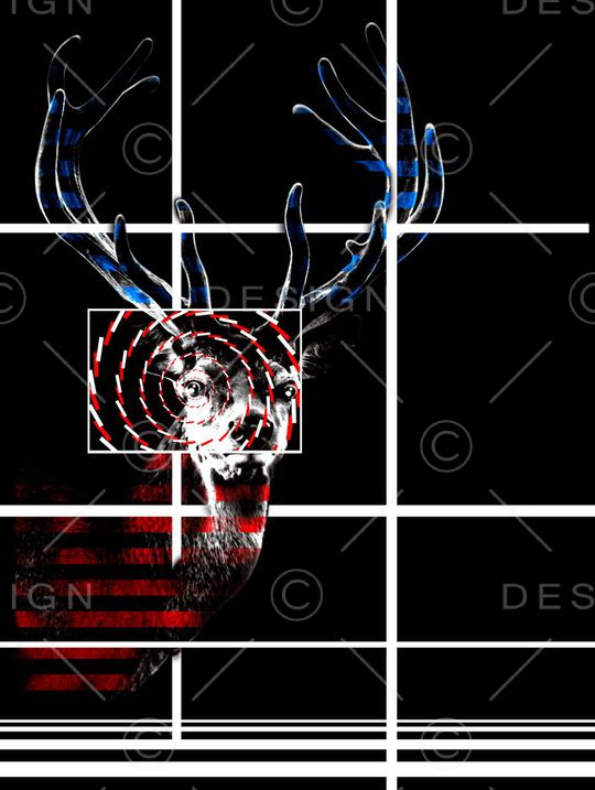 3D梅花鹿印花华亿平台图片