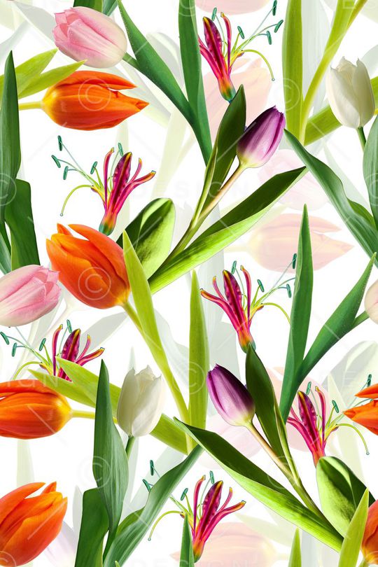 郁金香印花华亿平台图片