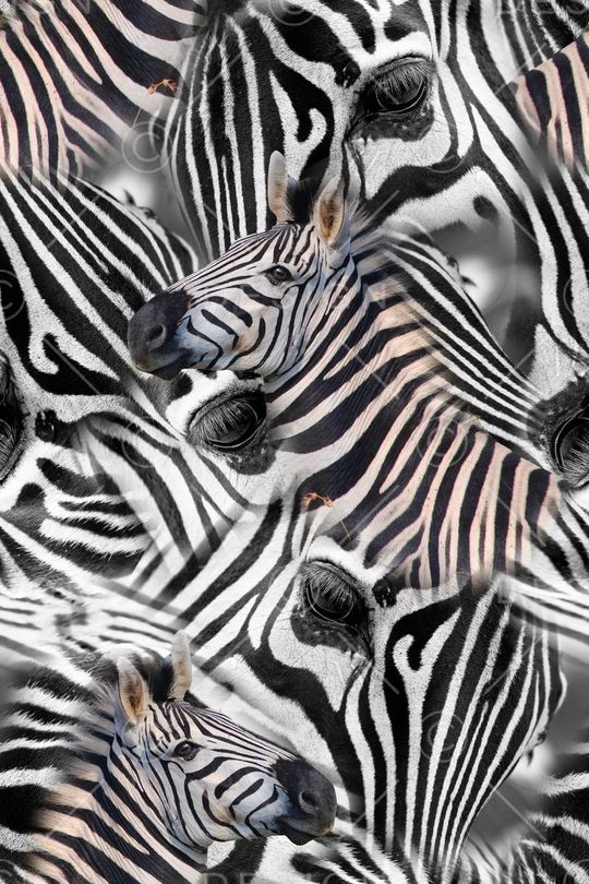 动物纹印花华亿平台图片