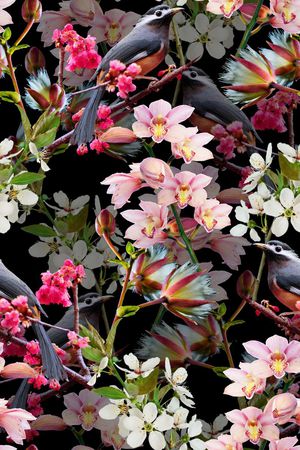 花鸟印花华亿平台图片