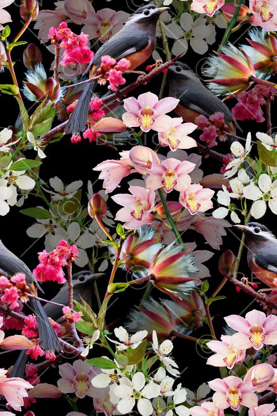 花鸟印花华亿平台图片