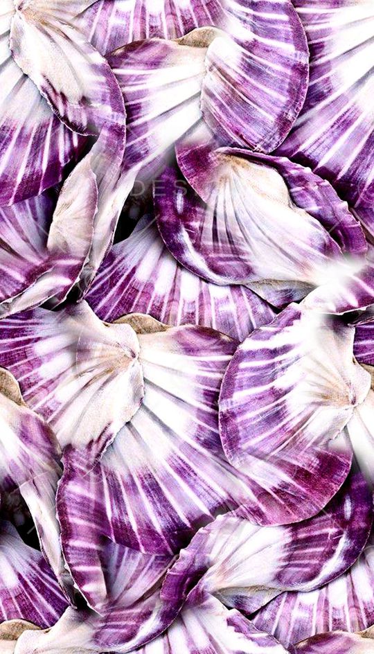 贝壳印花华亿平台图片