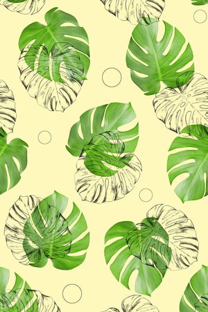 热带雨林印花华亿平台图片