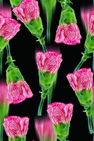 时尚抽象3D植物数码印花印花华亿平台图片