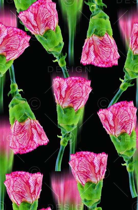 时尚抽象3D植物数码印花印花华亿平台图片